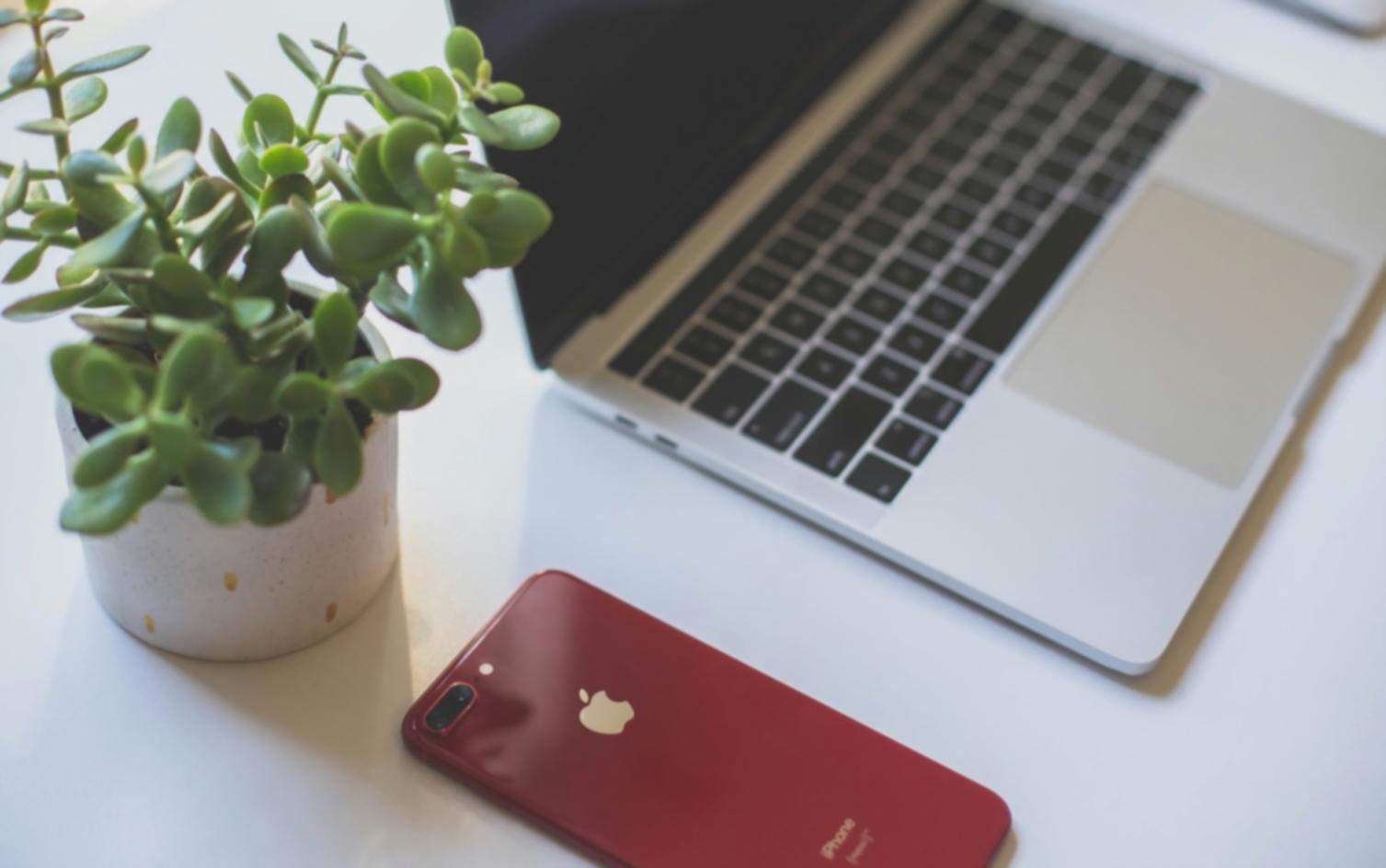 Network topology visualization for blockchain systems